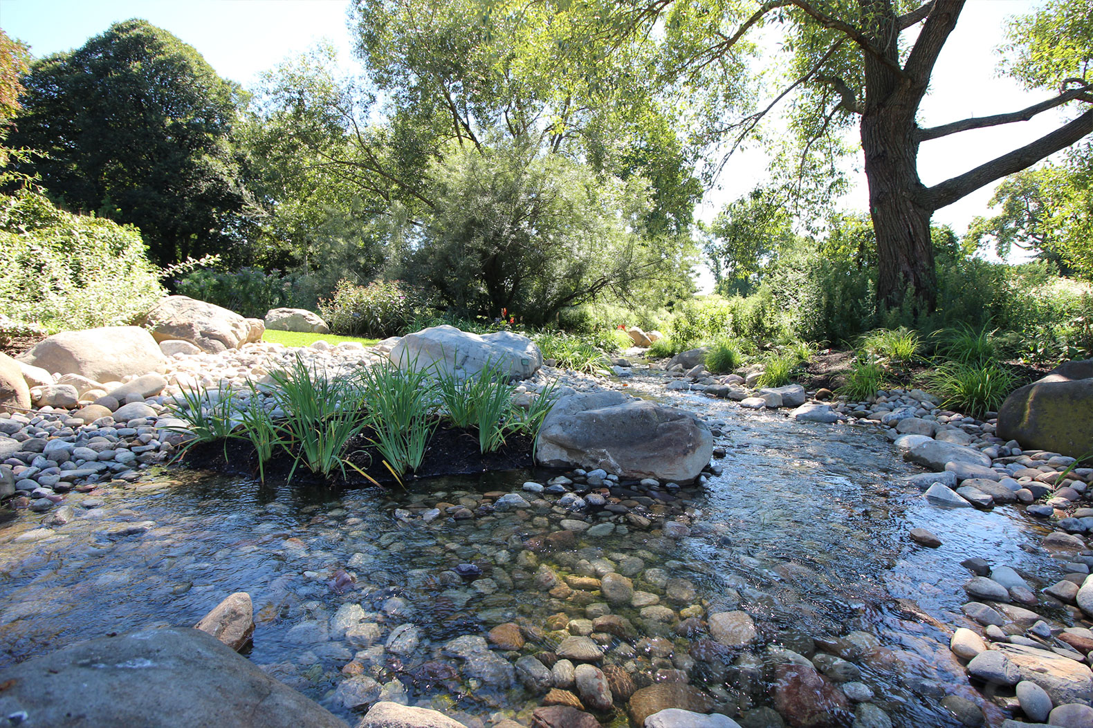 New Brooklyn Botanic Garden Water Garden Inspired By Ny Wetlands
