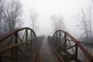 雾的桥梁