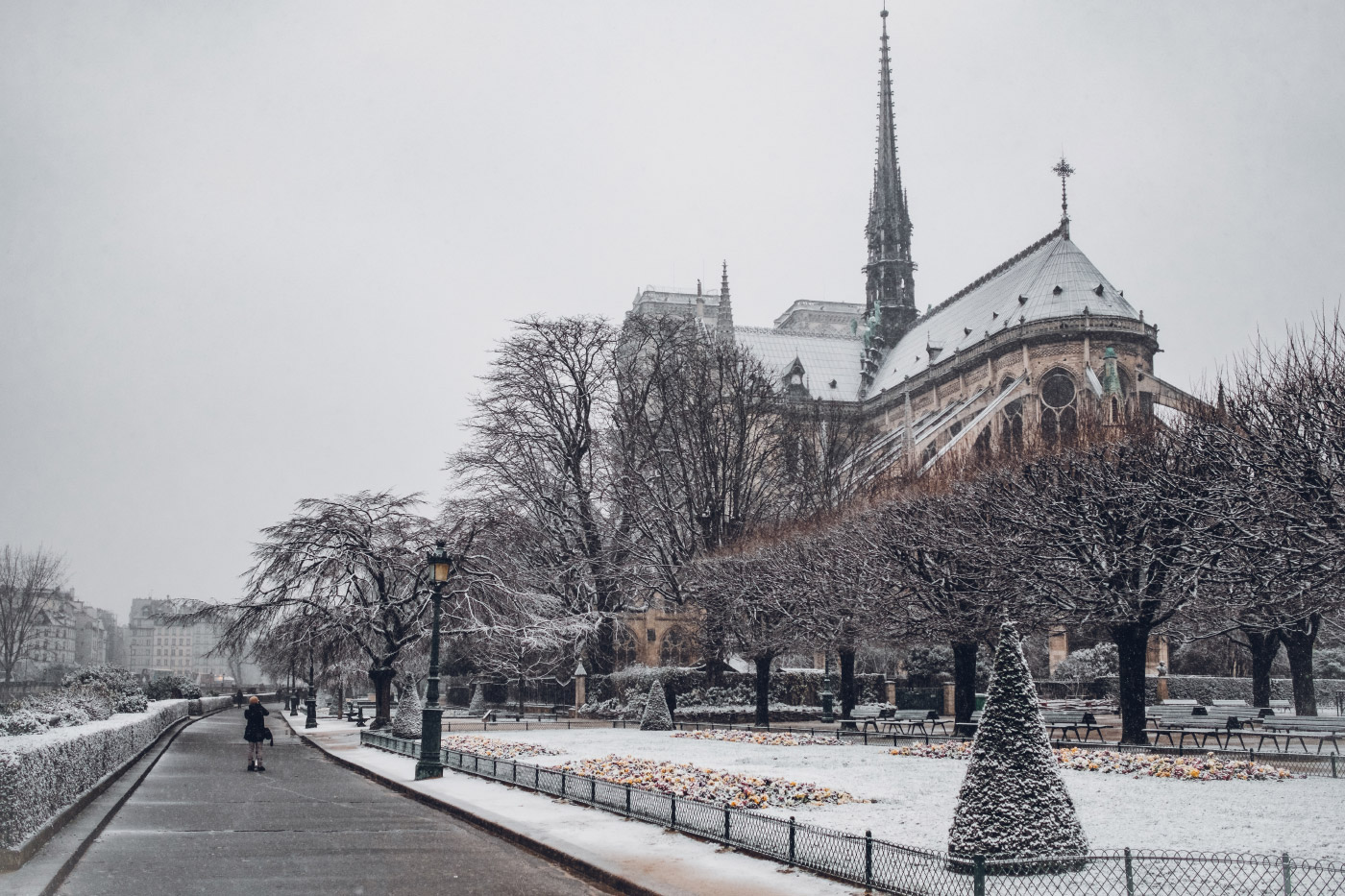 Notre Dame大教堂的照片雪的与尖顶