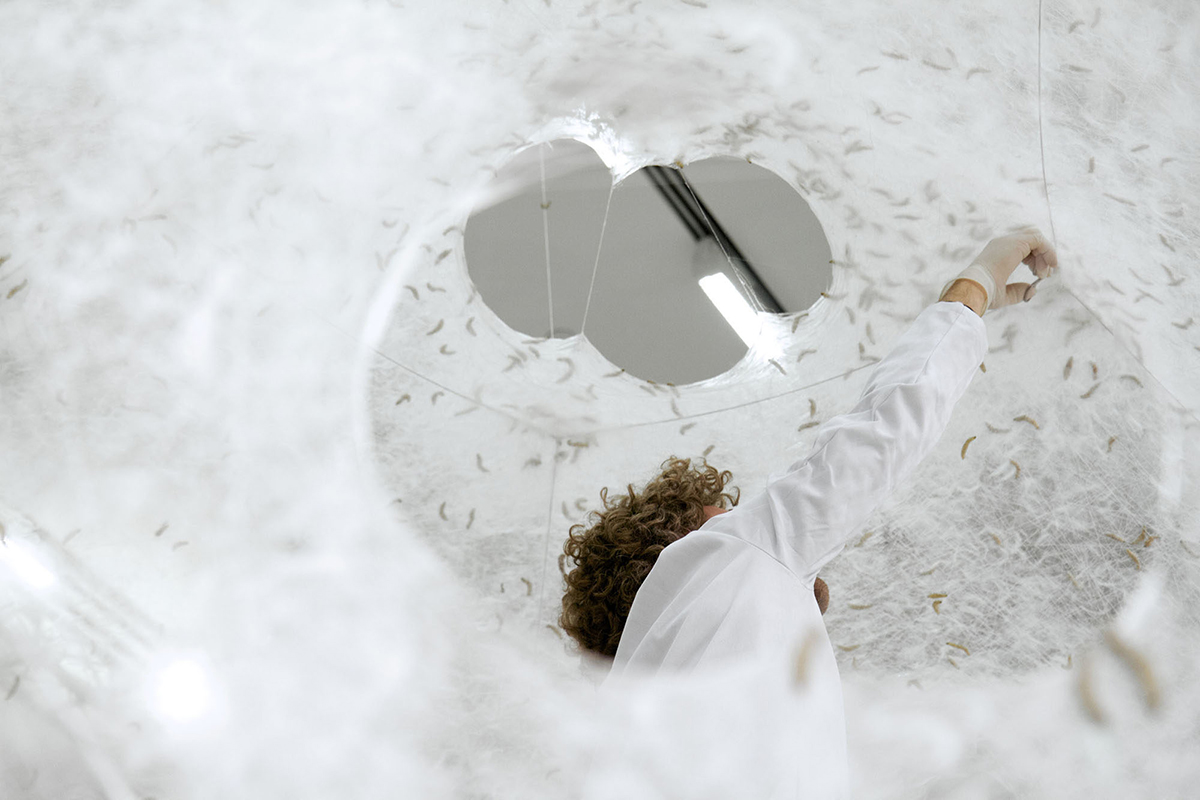 图为一名妇女（内里·奥克斯曼饰）抚摸着一个白色的、编织的、满是蚕的凉亭的内部