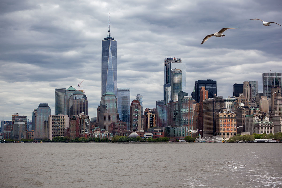 海鸥在曼哈顿上空飞翔