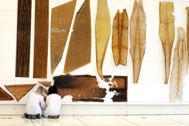 Photo of two women kneeling to install an art exhibition of brown fabricated wing-like objects designed by Neri Oxman