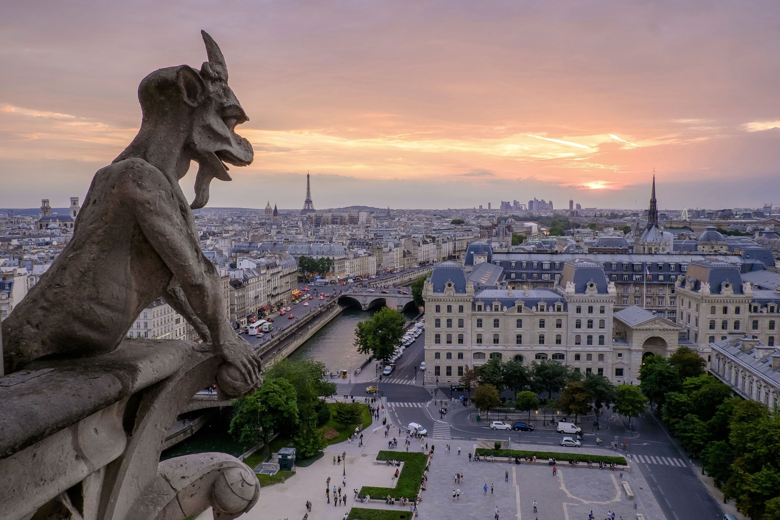 从巴黎圣母院屋顶拍摄的一张照片显示了一只滴水嘴兽