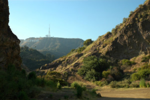 好莱坞标志布朗森峡谷的看法在洛杉矶，从格里菲斯公园