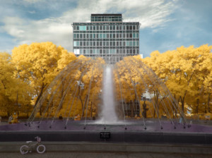 与一个现代大厦的秋天叶子在背景中，立法机构附件