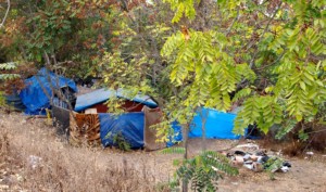 蓝色防水油布下的无家可归者营地