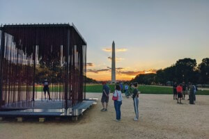 社会之笼，华盛顿纪念碑前的纪念碑