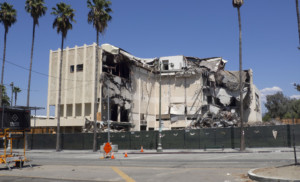 建筑用棕榈树拆除