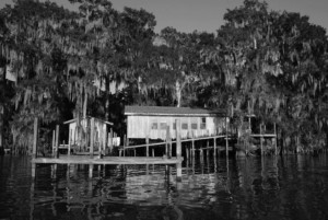 被气候变化蹂躏的河口房屋的黑白照片
