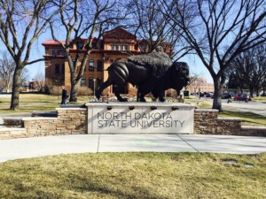 北达科他州立大学的野牛雕像