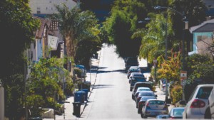 洛杉矶的树衬里街道，一个部分将被树冠覆盖