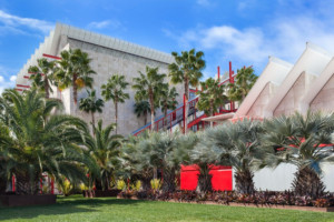 一个有棕榈树的艺术博物馆校园，这将启动纪念性的观点