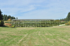 在Weyerhaeuser校园里的绿树覆盖的草地和建筑物