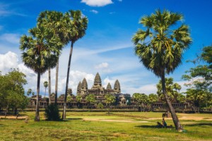 柬埔寨一处古老的寺庙遗址，树木繁茂