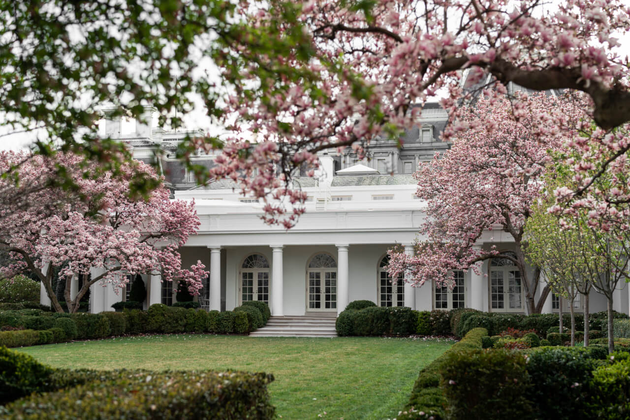 在白宫前面的玫瑰园