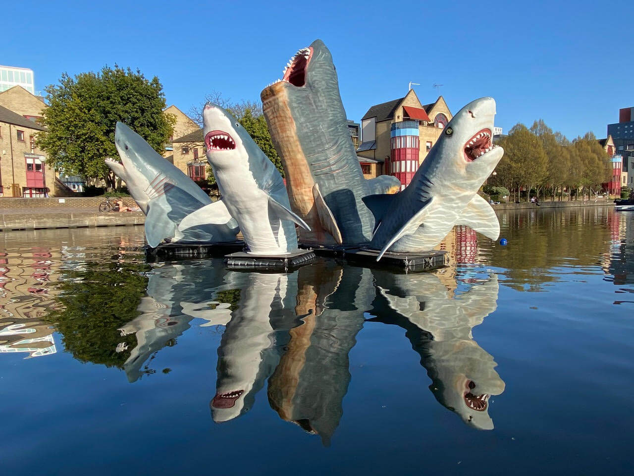 Singing sharks in the middle of a london canal for Antepavilion