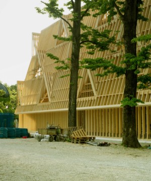 这是2021年威尼斯建筑双年展上的一组装置照片，展示了一座三层的木结构房屋
