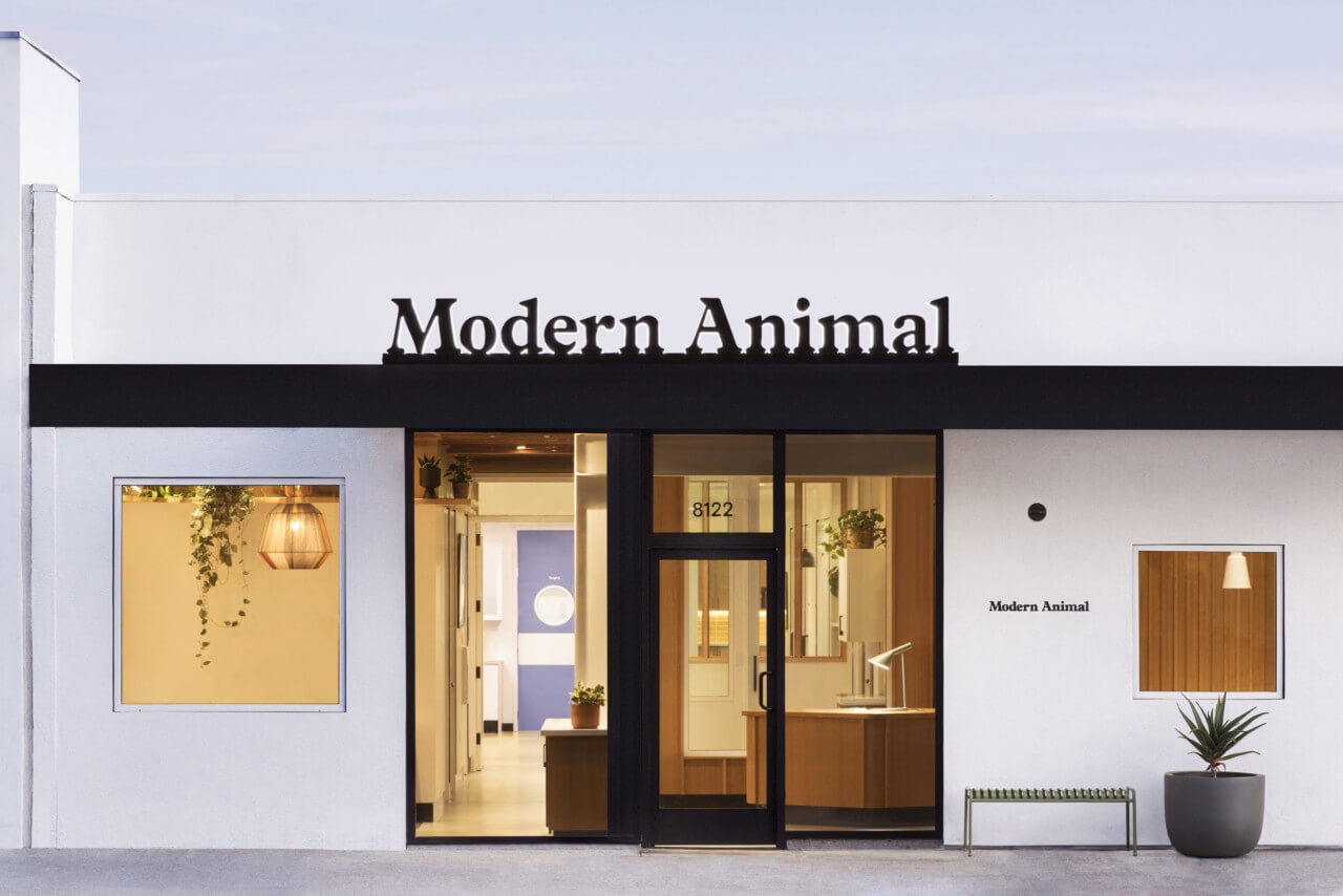 兽医诊所的前面叫做现代动物