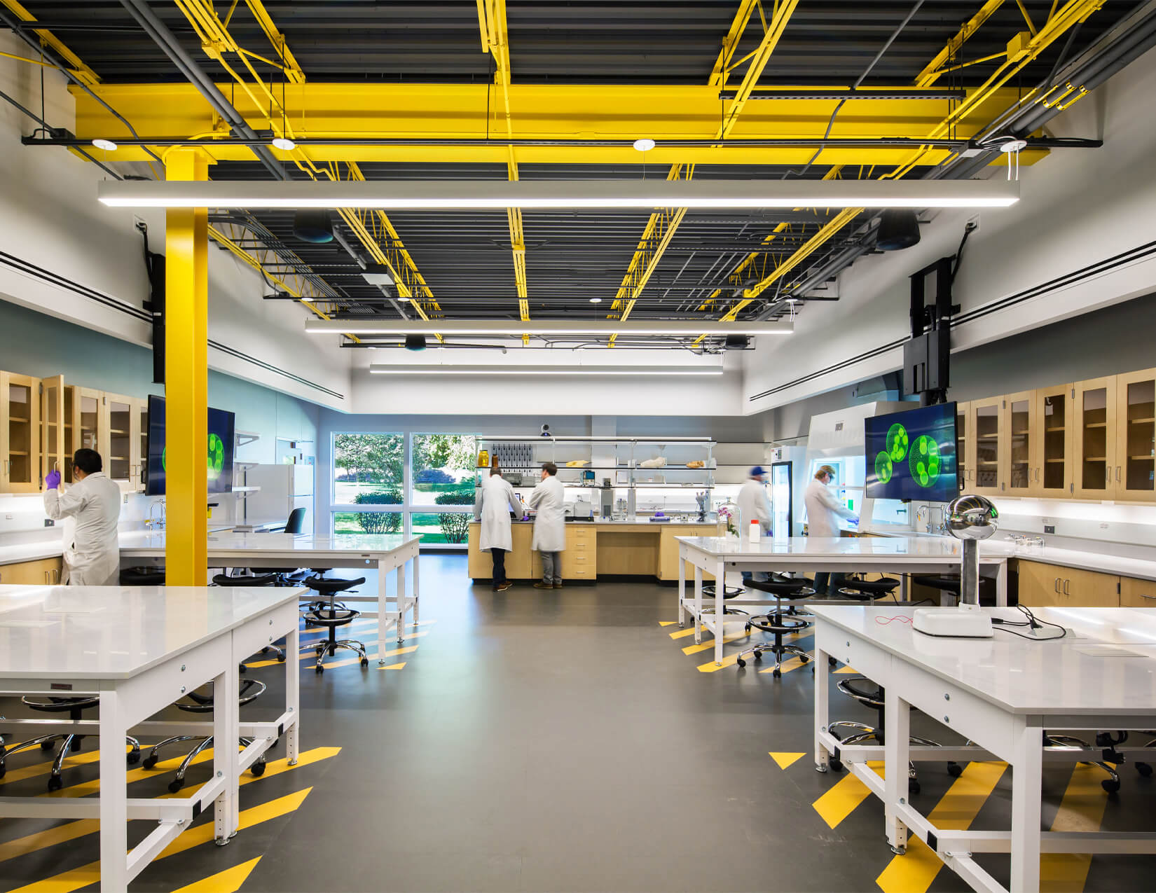 photograph showing the interiors of a new university science lab
