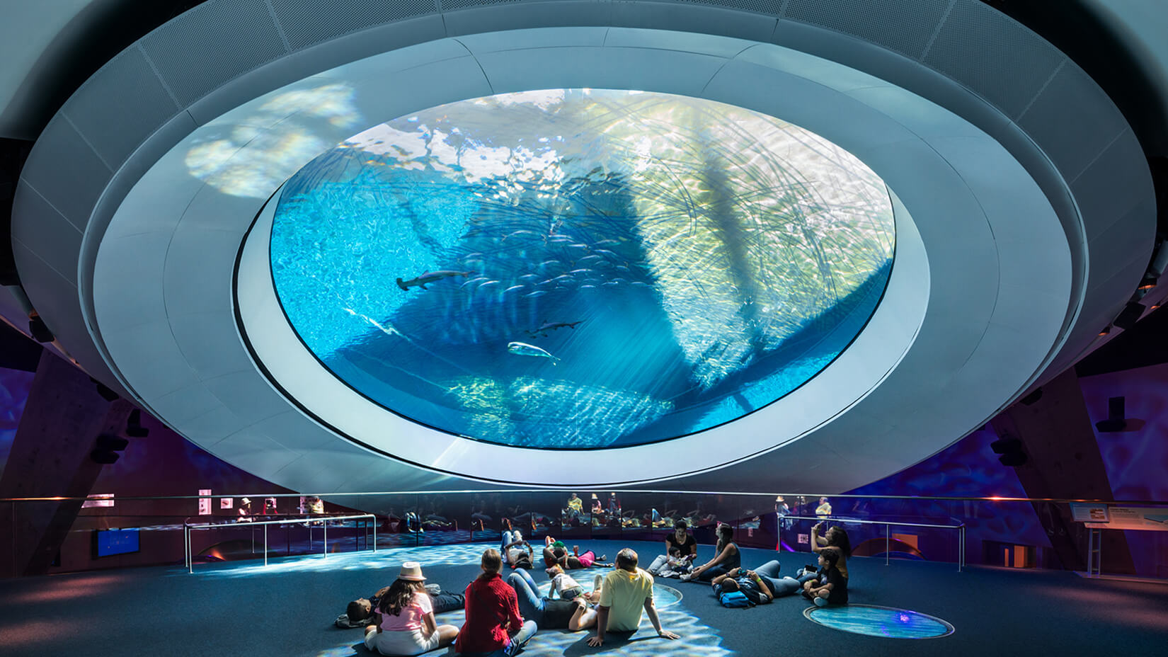 picture depicting a floating aquarium bowl with visitors resting underneath