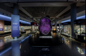矿物标本看法在显示的在博物馆