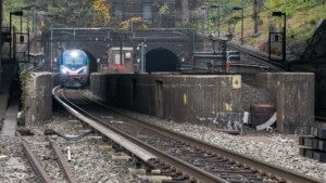 一列火车从入口驶出，穿过被树叶环绕的隧道