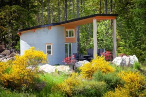 一座螺旋形的混凝土房屋，四周是郁郁葱葱的植被