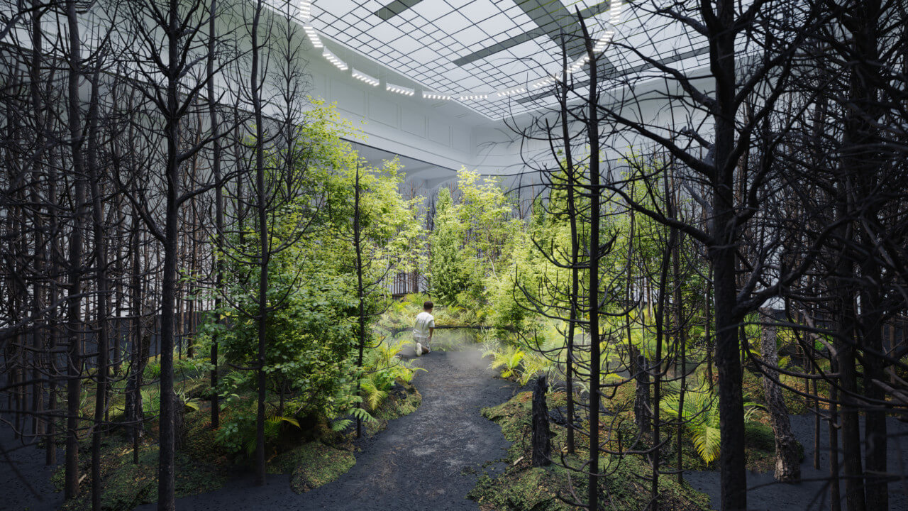为2021年维也纳变革双年展打造的室内森林