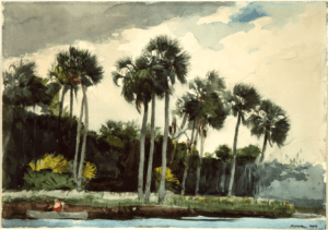 a painting of the homosassa river in florida, subject to flooding and sea level rise in recent years due to climate change