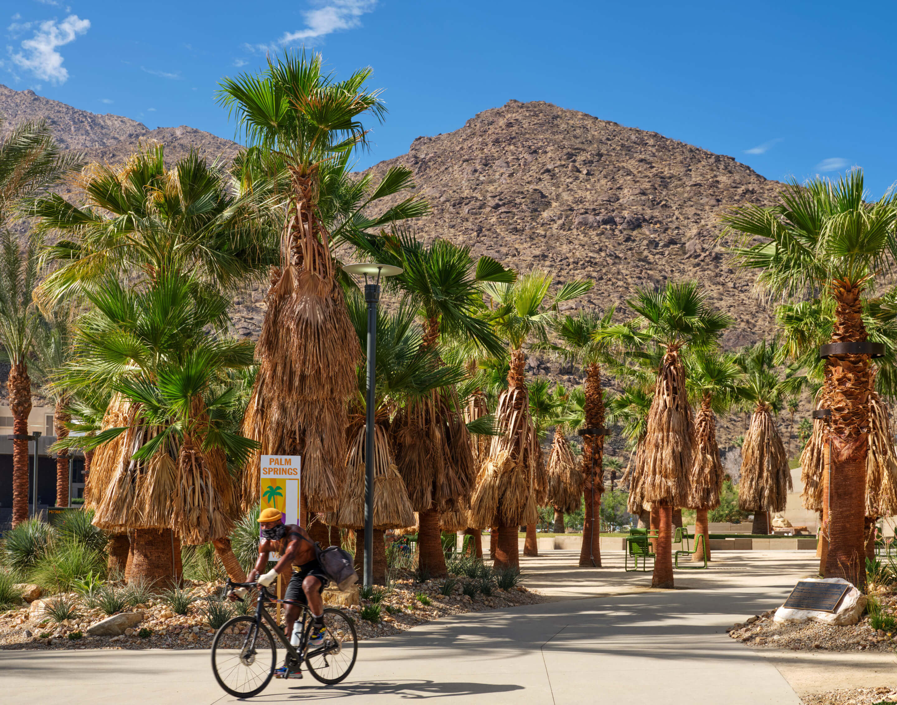 a cyclist travels through a palm-tree lined park with mountains in the background